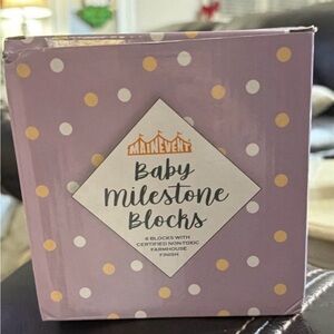 Baby Milestones Blocks